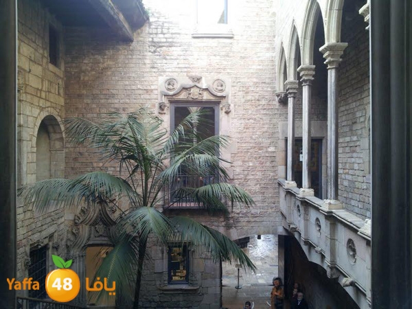 ahmedaboajwabarca (6).jpg